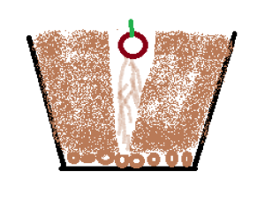 sadzenie lilii w doniczce