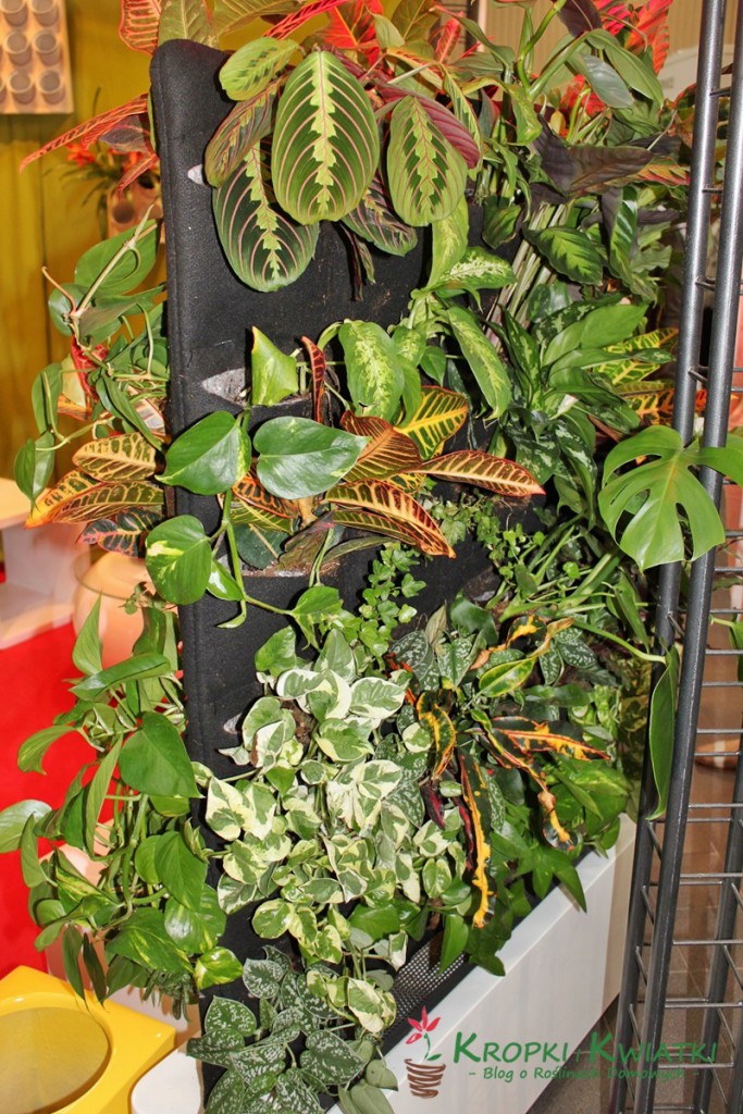 zieleń to życie wystawa