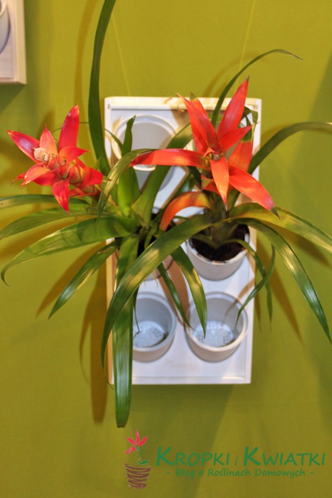 zieleń to życie wystawa