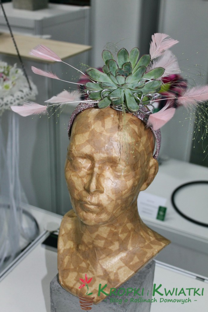 zieleń to życie wystawa