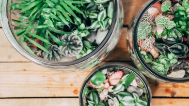 jak wykonać las w słoiku