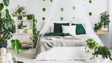 rośliny do sypialni