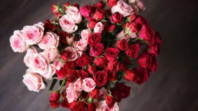 bukiety róż online