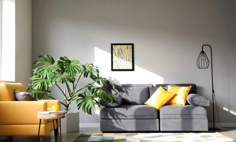 Monstera - podpora